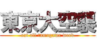 東京大空襲 (eat all tamagawa weed)