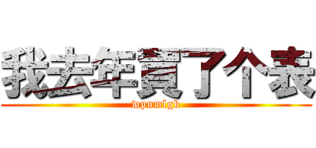 我去年買了个表 (wpnmlgb)