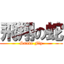 飛翔の蛇 (Snake Fly)