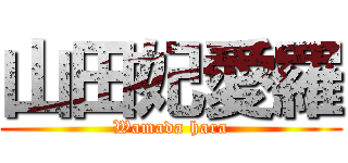 山田妃愛羅 (Wamada hara)