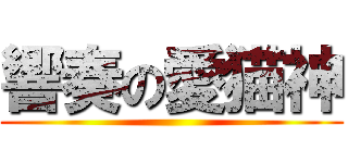 響奏の愛猫神 ()