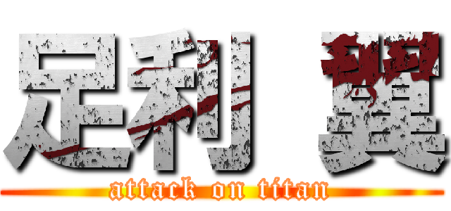 足利 翼 (attack on titan)