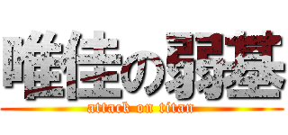 唯佳の弱基 (attack on titan)