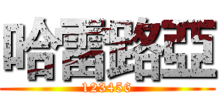 哈雷路亞 (123456)