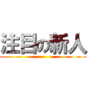 注目の新人 ()