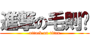 進撃の毛則噗 (attack on titan)