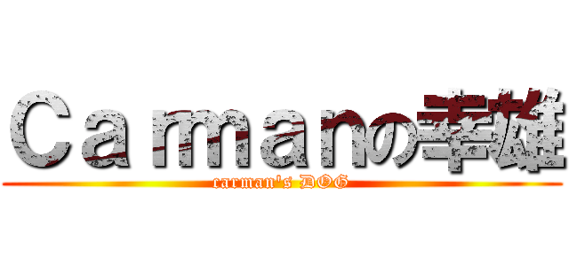 Ｃａｒｍａｎの幸雄 (carman\'s DOG)