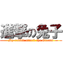 進撃の兔子 (My rabbit attack the Giants)