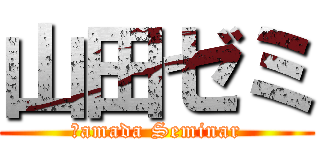 山田ゼミ (Ｙamada Seminar)