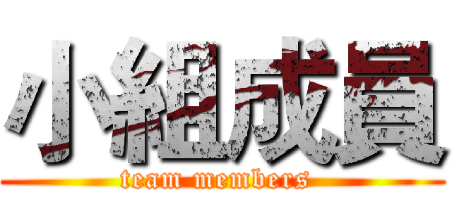 小組成員 (team members )