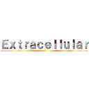 Ｅｘｔｒａｃｅｌｌｕｌａｒ ()