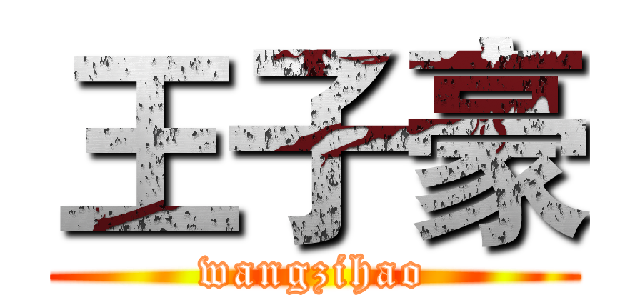 王子豪 (wangzihao)