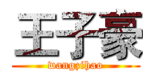 王子豪 (wangzihao)