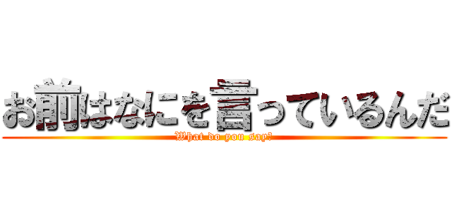 お前はなにを言っているんだ (What do you say?)