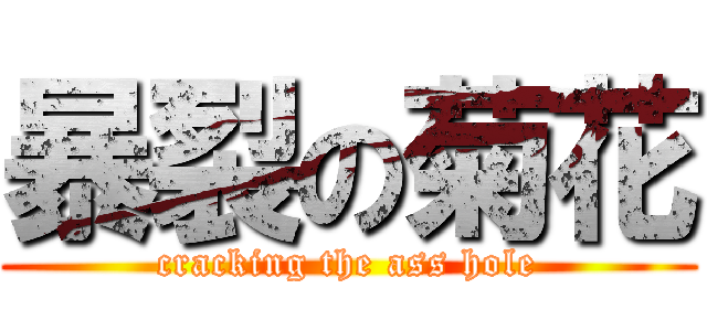 暴裂の菊花 (cracking the ass hole)