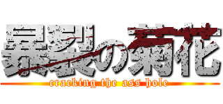 暴裂の菊花 (cracking the ass hole)