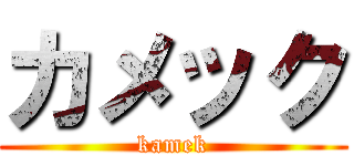 カメック (kamek)