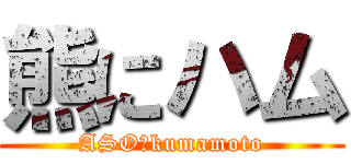 熊にハム (ASO　kumamoto)
