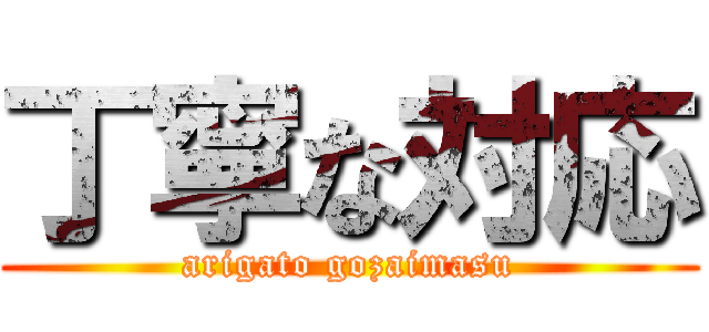 丁寧な対応 (arigato gozaimasu)