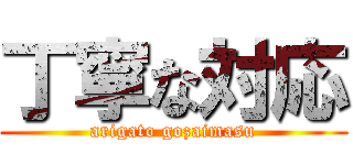 丁寧な対応 (arigato gozaimasu)