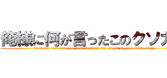 俺様に何が言ったこのクソガキ (what the fuck did you just fucking say about me you little bitch)