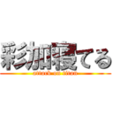 彩加寝てる (attack on titan)