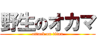 野生のオカマ (attack on titan)