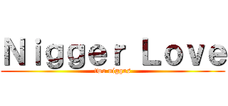 Ｎｉｇｇｅｒ Ｌｏｖｅ (two niggas)