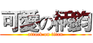 可愛の柄鈞 (attack on titan)