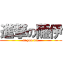 進撃の薩伊 (if you die)