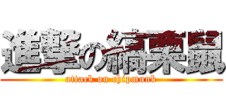 進撃の縞栗鼠 (attack on chipmunk)