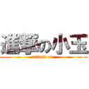 進撃の小玉 (attack on )