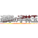 進撃の李林玉 (attack on titan)