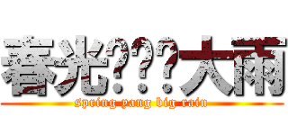 春光灿烂杨大雨 (spring yang big rain)