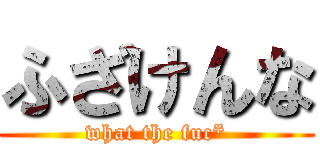 ふざけんな (what the fuc*)