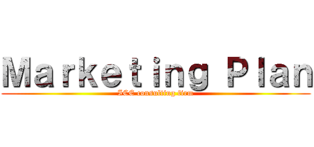 Ｍａｒｋｅｔｉｎｇ Ｐｌａｎ (ICE consulting firm)