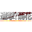 進撃佢菊花 (attack on titan)