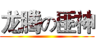 龙腾の匪神 ()