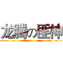 龙腾の匪神 ()