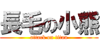 長毛の小熊 (attack on titan)