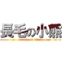 長毛の小熊 (attack on titan)