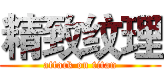 精致纹理 (attack on titan)