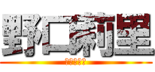 野口莉里 (進撃の莉里)