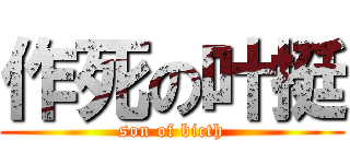 作死の叶挺 (son of bicth)