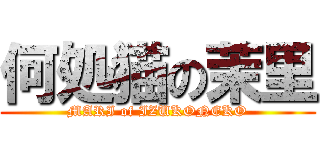 何処猫の茉里 (MARI of IZUKONEKO)