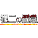 犯二の肥急 (stupid frog)