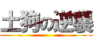 土狗の逆襲 ()