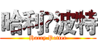 哈利•波特 (Harry Potter)