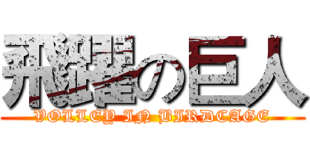 飛躍の巨人 (VOLLEY IN BIRDCAGE)