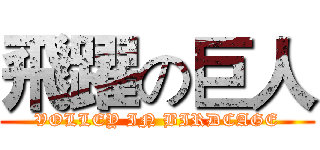 飛躍の巨人 (VOLLEY IN BIRDCAGE)